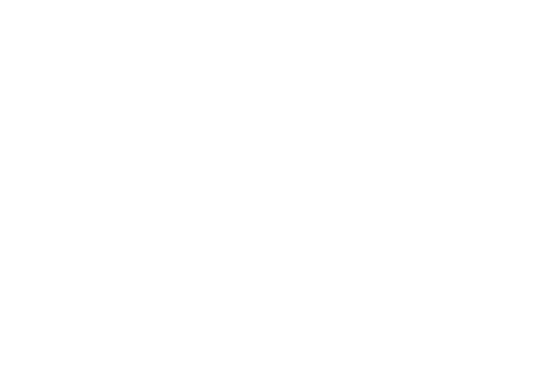 precious planks logo white