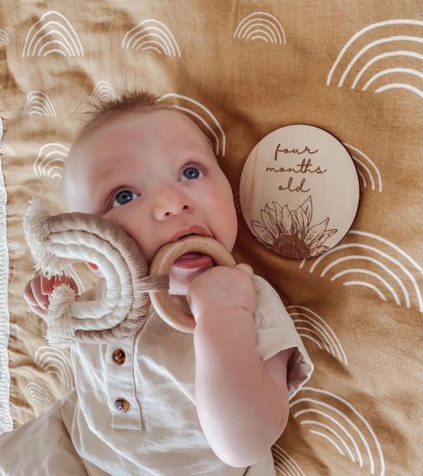 timeless classic collection timeless classic collection