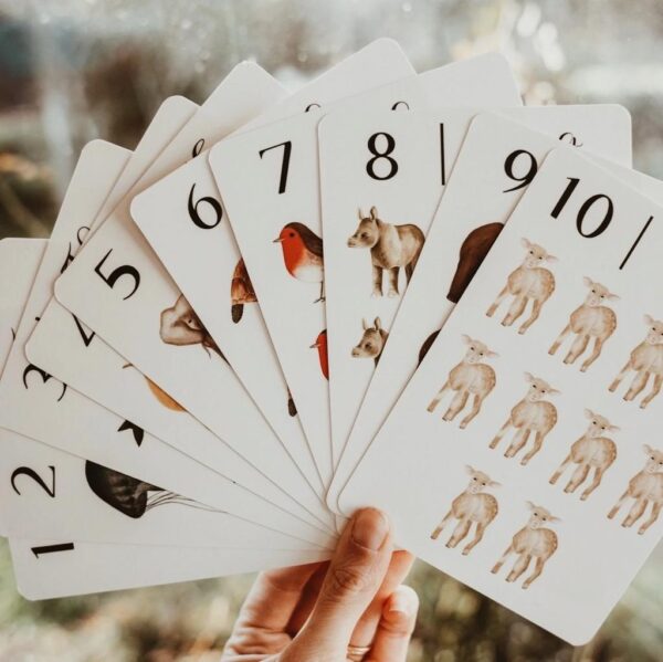 nature's 123 flashcards nature's 123 flashcards