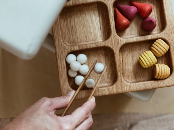 Sorting Tray
