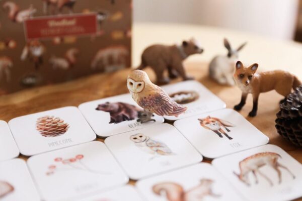 memory cards woodland memory cards woodland